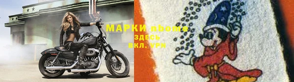 spice Ельня