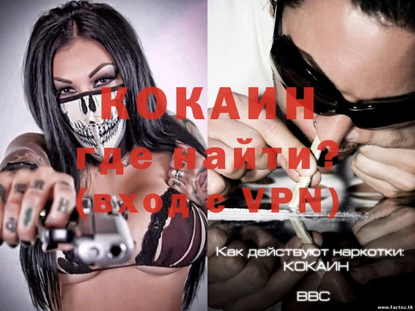 ПСИЛОЦИБИНОВЫЕ ГРИБЫ Елабуга