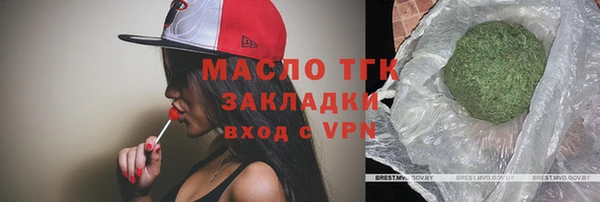 spice Ельня