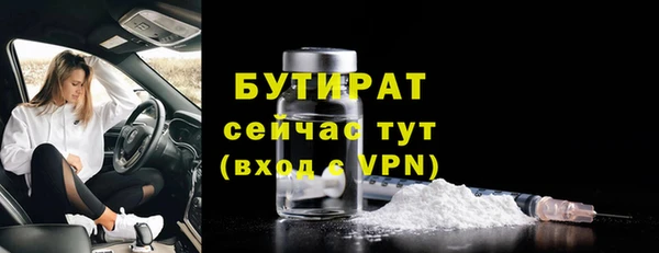 spice Ельня
