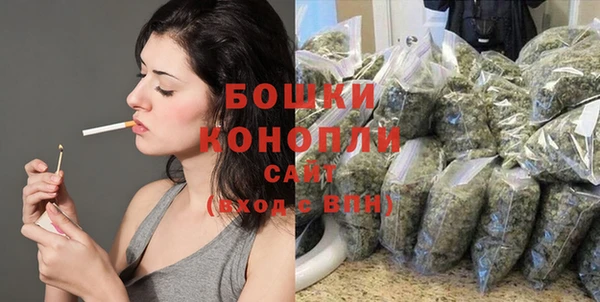 spice Ельня