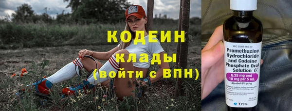 spice Ельня