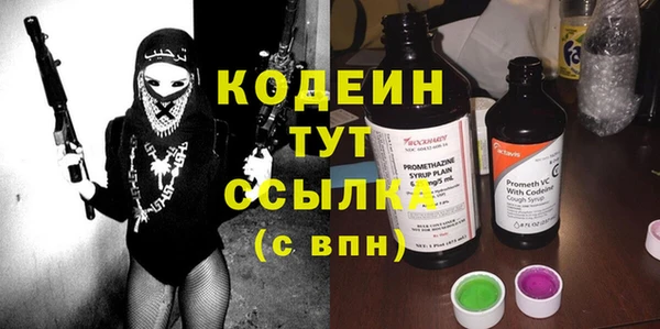 spice Ельня