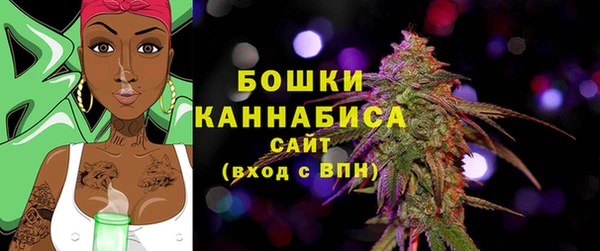 ПСИЛОЦИБИНОВЫЕ ГРИБЫ Елабуга