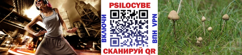 Галлюциногенные грибы Cubensis  цена наркотик  omg вход  Киренск 
